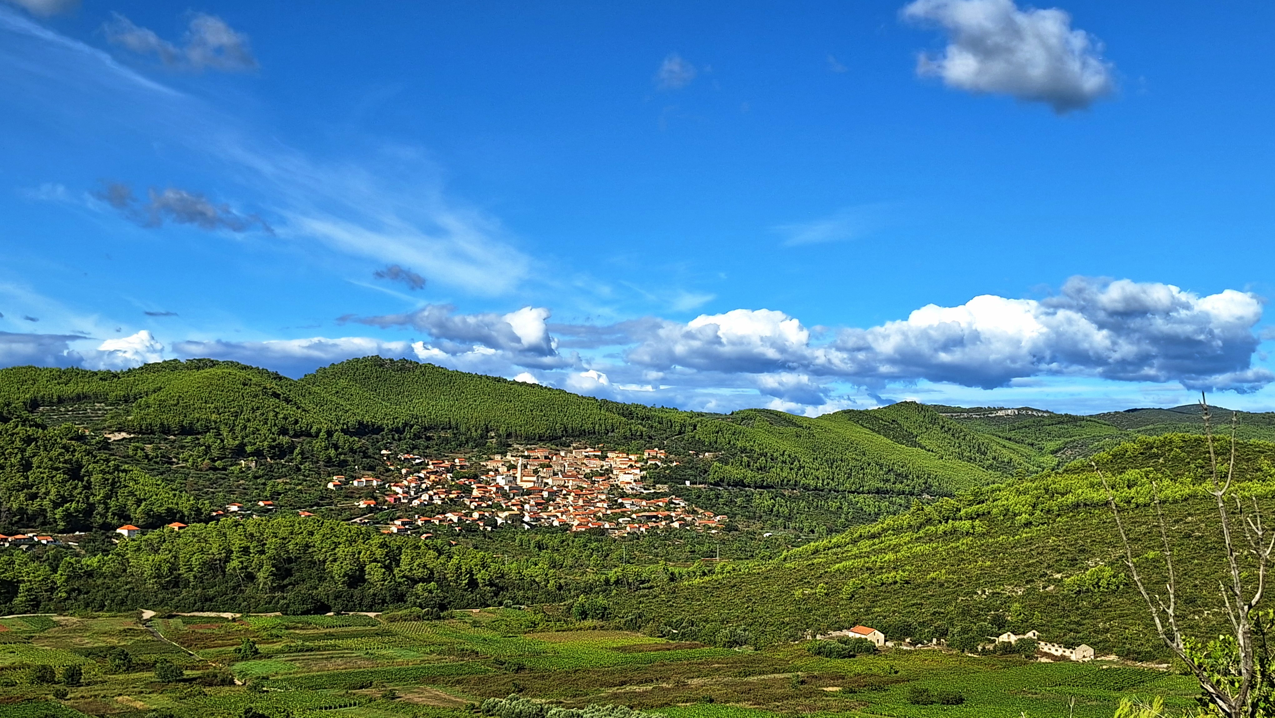 Smokvica homeland of Pošip, first Croatian protected white wine  in 1967.g 